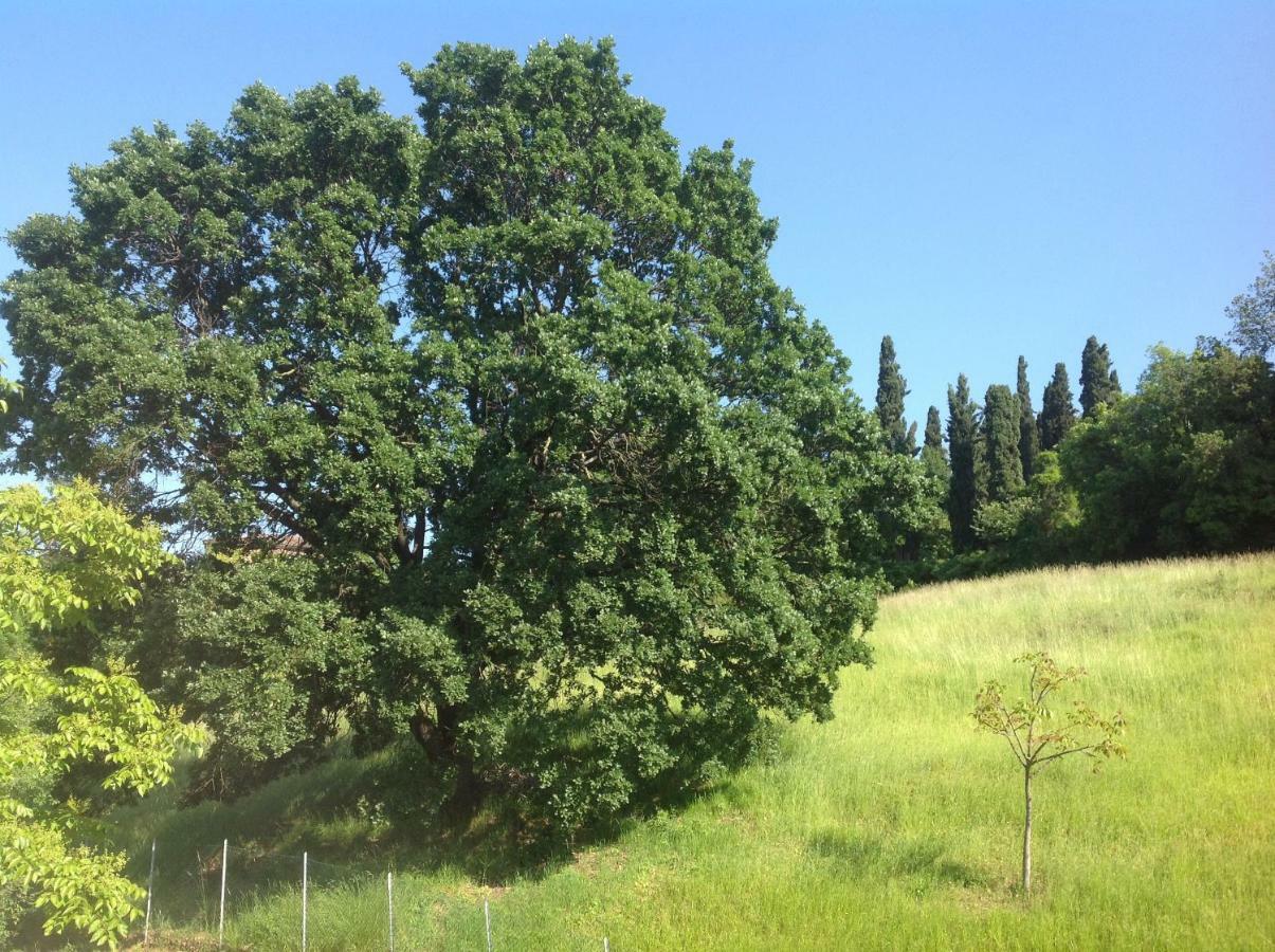B&B Smile Fiorano Modenese Dış mekan fotoğraf