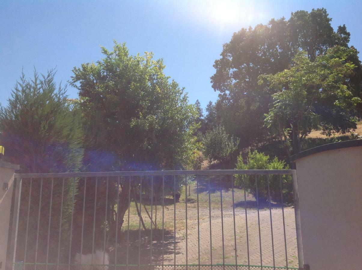B&B Smile Fiorano Modenese Dış mekan fotoğraf